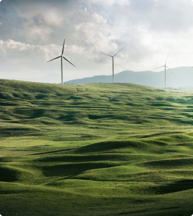 mustry-solutions-ecological